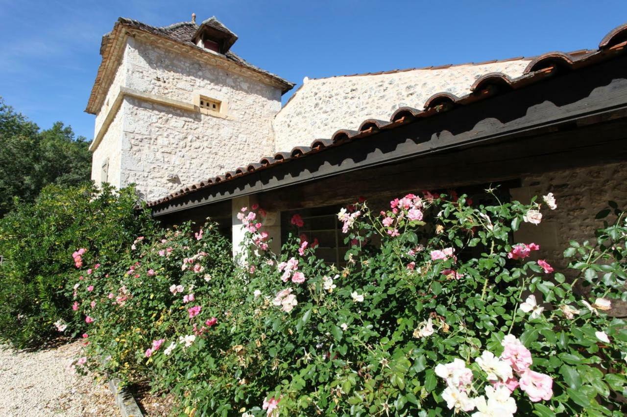 Domaine Du Merlot Sainte-Sabine-Born エクステリア 写真