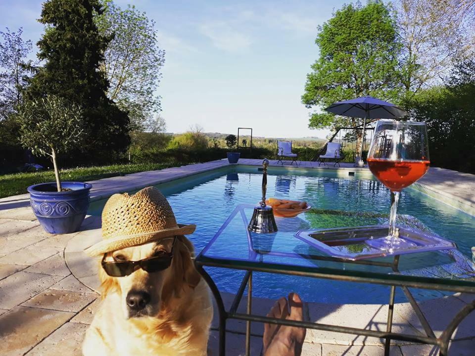 Domaine Du Merlot Sainte-Sabine-Born エクステリア 写真